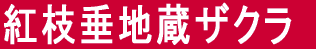 g}nUN 