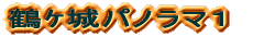 ߹pm}P 