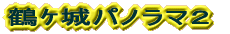 ߹pm}P 