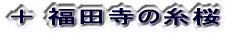 {c̎