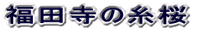 c̎ 