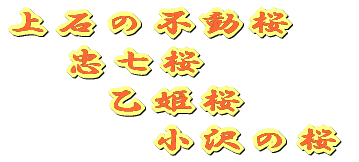 ΂̕s @ ̍ @@@ P  @@@@@@̍ 