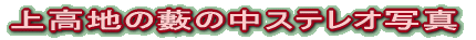 ㍂nM̒XeIʐ^