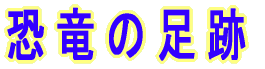 ̑ 