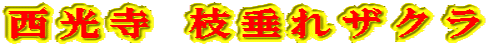  }UN 